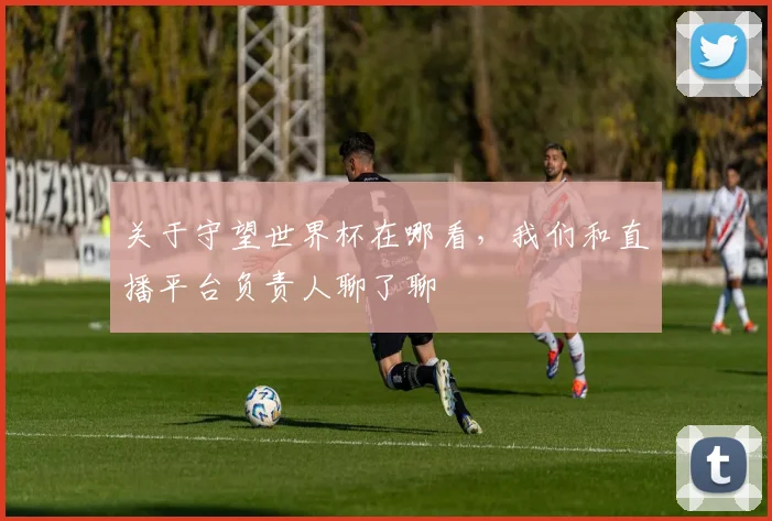 关于守望世界杯在哪看，我们和直播平台负责人聊了聊