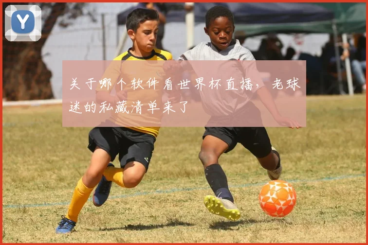 关于哪个软件看世界杯直播，老球迷的私藏清单来了