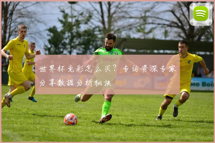 世界杯竞彩怎么买？专访资深专家分享数据分析秘诀