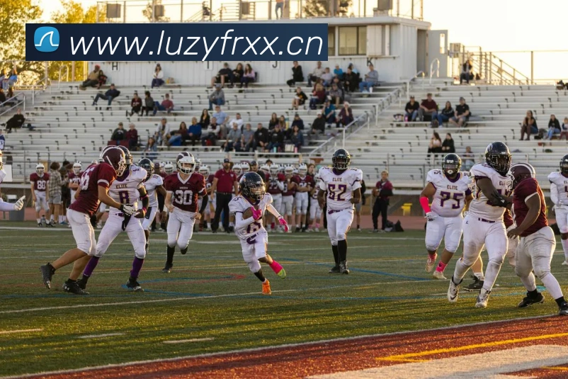 mk体育官方网平台生态图